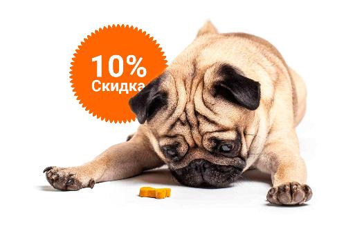 -10% на зоотовары акция в Богдановиче компании Инженер выгодно