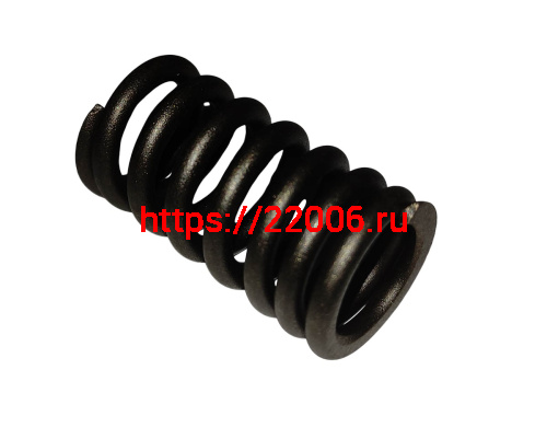 Пружина клапана NB300  ZS (174MN-5) (100130269)