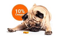 -10% на зоотовары акция в Богдановиче компании Инженер выгодно