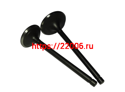 Клапан впускной SHINERAY VJP250-4 172FMM (22020096) Клапан впускной SHINERAY VJP250-4 172FMM (22020096)