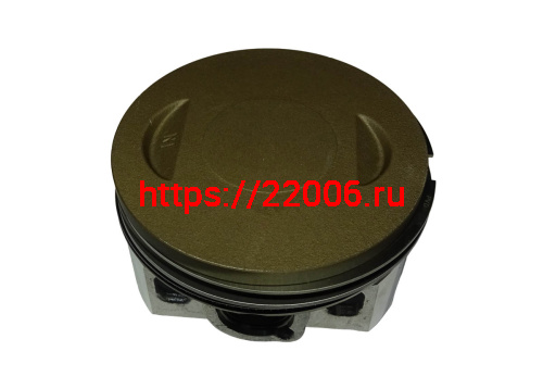 Поршень в сборе SHINERAY  VJP250-4 172FMM (кольца, палец, стопорн. кольца) (смотри каталог) фото 2
